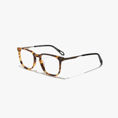 LEBRON HAVANA - LEBR03