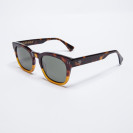 DAMON HAVANA ORANGE - DAMO15
