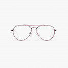 SPRINGSTEEN  PINK - SPRI02